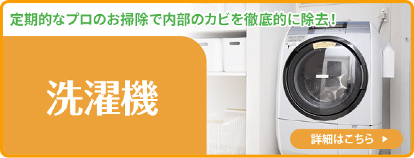 定期的なプロのお掃除で内部のカビを徹底的に除去!洗濯機